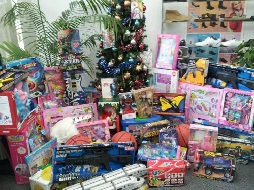 Annual-toy-mountain-campaign